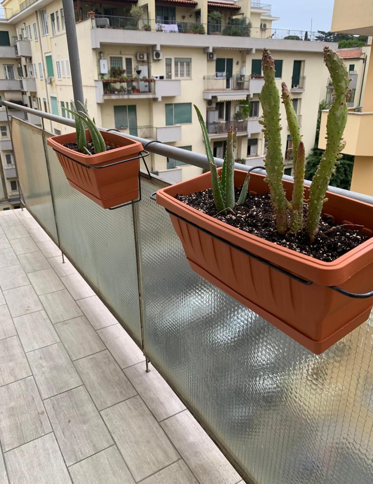 Apartment Cozy House Le Valli